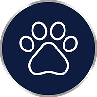 You-can-become-infected-through-contact-with-infected-animals-icon